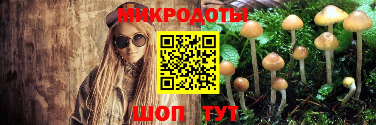 Галлюциногенные грибы MAGIC MUSHROOMS Мыски