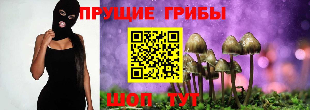 дарнет шоп  Псилоцибиновые грибы Psilocybe  Вход с VPN  Мыски 
